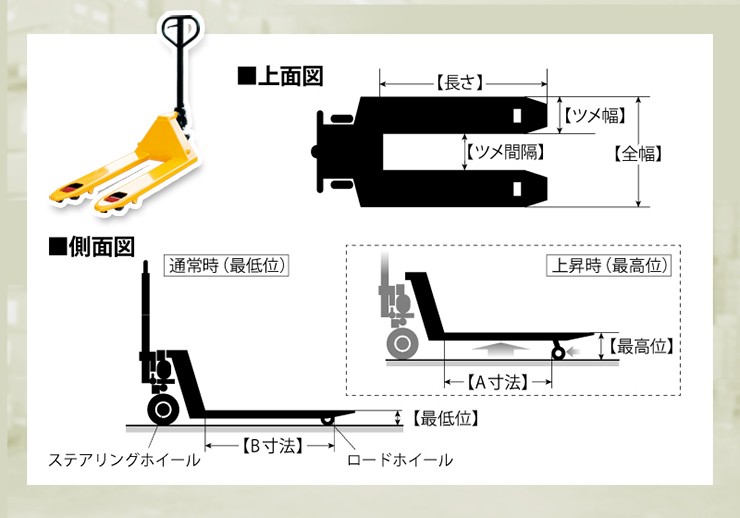 NNシリーズ特徴