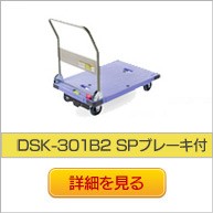 台車DSK-301B2 SPブレーキナンシン