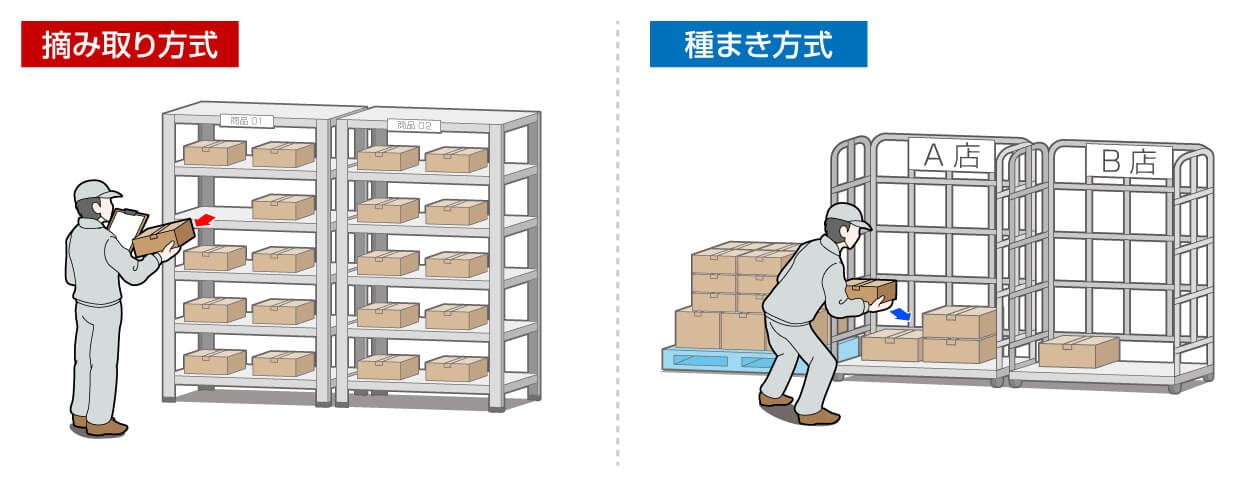 摘み取り方式/種まき方式
