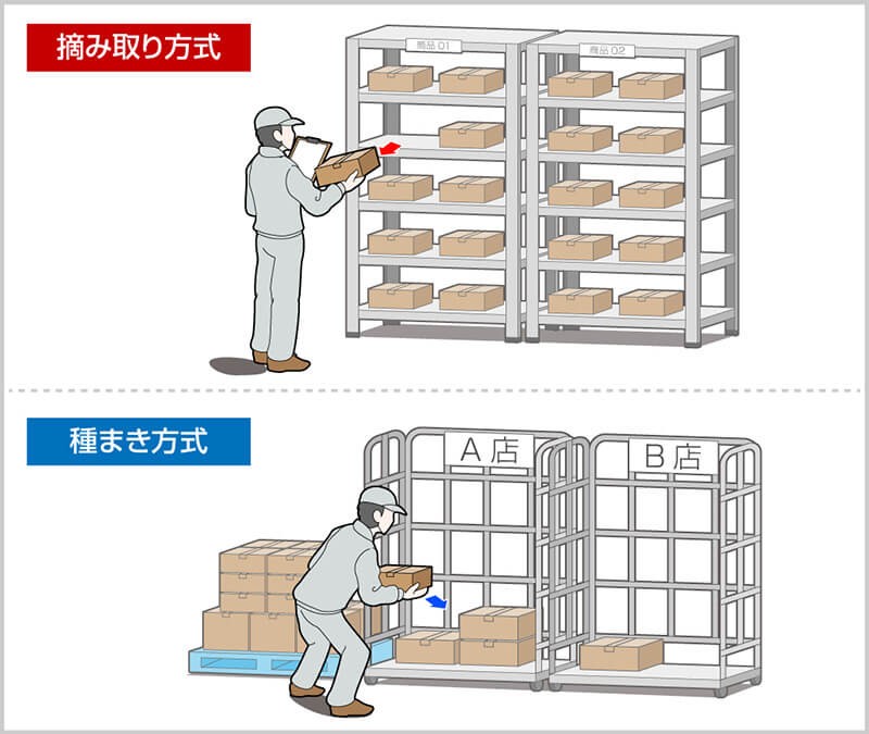 摘み取り方式/種まき方式
